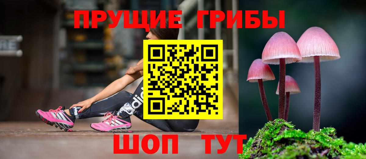 Верхний Уфалей  Псилоцибиновые грибы Cubensis  Вход с VPN  закладки  Галлюциногенные грибы ЛСД 